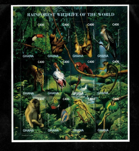 Ghana 1996 rainforest - 1996,